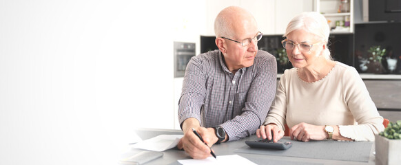 Senior couple calculating budget, pay the bills