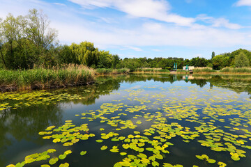 Fototapeta na wymiar A small lake in the Ziegeleipark in Heilbronn, Germany