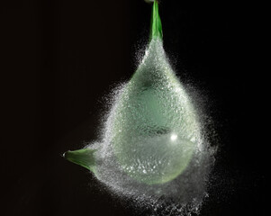 Splashes waterballoon bursting against black background and in a galaxy of water drops closeups