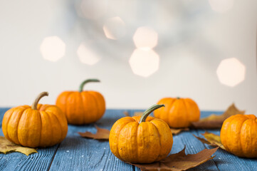 Pumpkins and squashes and autumn leaves, space for text