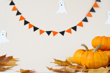 Background of colorful autumn pumpkins and leaves, fall season concept. halloween concept.