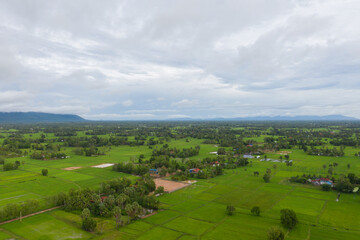 Obraz premium beautiful but unfocussed green grass after rain with dark cloudy sky green ricefield isolated in the island pangandaran . Scenic view of green ricefields in the Cambodia