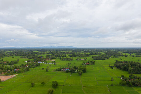 beautiful but unfocussed green grass after rain with dark cloudy sky green ricefield isolated in the island pangandaran . Scenic view of green ricefields in the Cambodia © Nhut