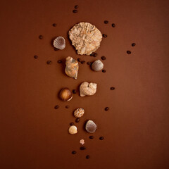 coffee beans chocolate seashells