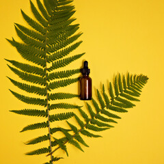 green fern and cosmetic bottle