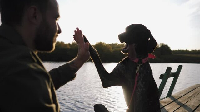 dog of kurzhaar breed give high-five to owner of pet during hike through lake