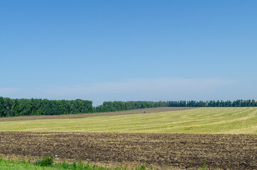 Harvest at the end of summer