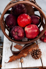 Harvest of red apples in wooden basket in autumn season, fresh organic fruits