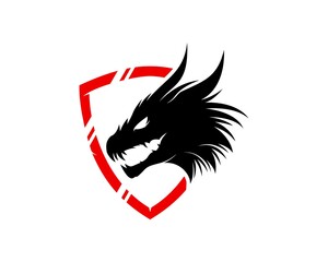 Shield with dragon head inside