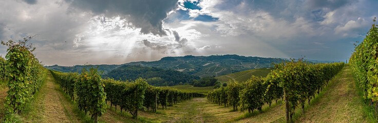 Le colline delle Langhe, patrimonio dell’Umanità dell’Unesco nella stagione della vendemmia