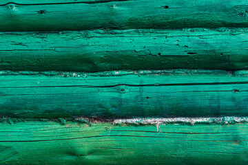 Texture of old wooden building wall surface made with weathered bright green brown logs in rural house yard at bright sunlight on autumn day extreme close view.