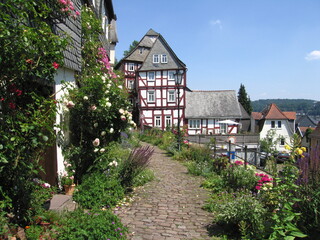Fototapeta na wymiar Blühende Kugelgasse in Marburg