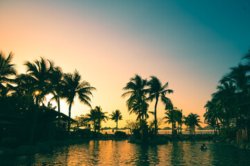 sunset on swimming pool sea view and coconut tree