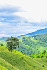 Fototapeta na wymiar Mountain Landscape in Doi Phu Kha National Park, Nan Province, Thailand