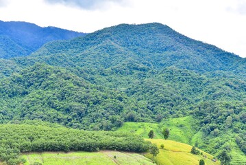 Fototapeta na wymiar Lush Green Mountain Range of Doi Phu Kha National Park in Nan, Thailand