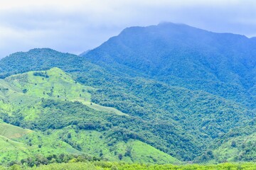 Fototapeta premium Mountain Range of Doi Phu Kha National Park in Nan Province