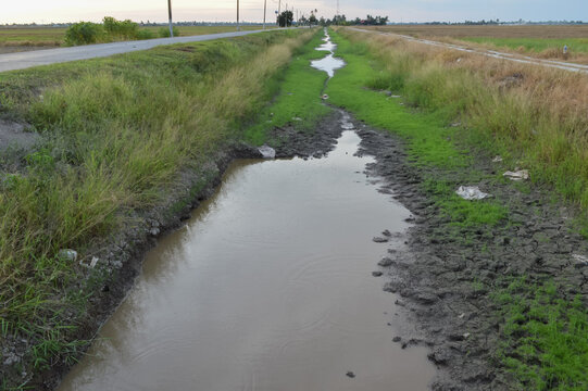 Water canal for paddy rice field irrigation.