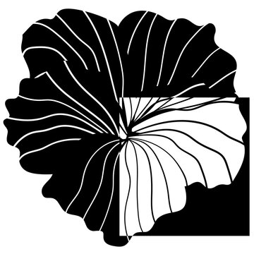 Hibiscus flower geometrical silhouette isolated on white background.  Hibiscus black sihouette vector illustration.  Monochrome geometric design.