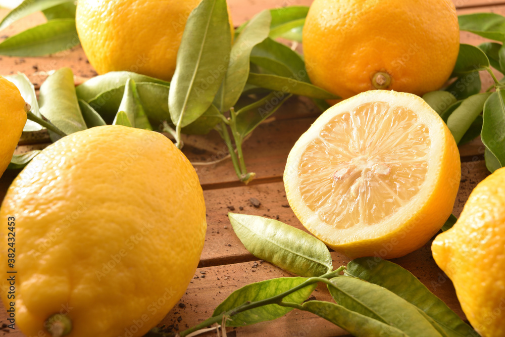 Wall mural Freshly picked organic farming lemons on wood table elevated view