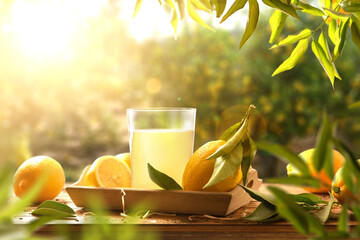 Freshly squeezed juice on wooden table in lemon grove