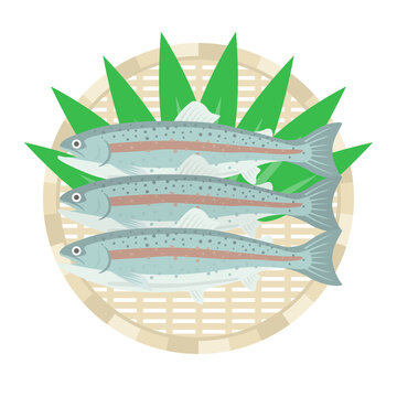 643 Best ニジマス Images Stock Photos Vectors Adobe Stock 643 Best ニジマス Images Stock Photos Vectors Adobe Stock