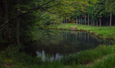 Quiet Pond