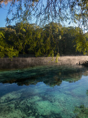 Early Morning at Ginnie Springs on the Santa Fe River, Florida