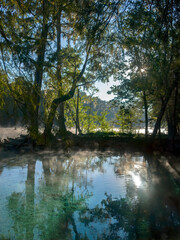 Early Morning at Ginnie Springs on the Santa Fe River, Florida
