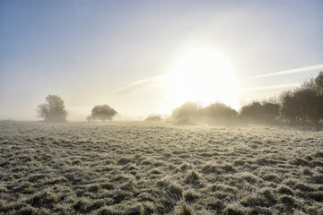 Fresh Sunrise over Frozen Irish Landscape