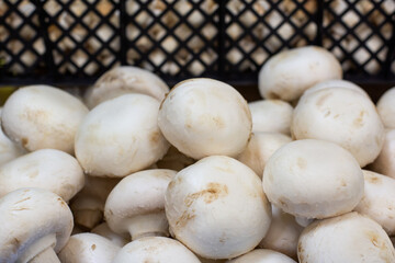 Macro photo nature food mushrooms champignons. Texture white mushrooms champignons. Image with selective focus