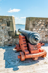 Fortress Cannon Canon artillery portrait