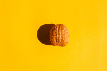 walnut with a hard shadow on a plain background. the view from the top. blank for the pattern
