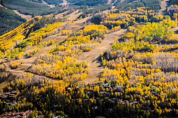 Obraz premium Vail Mountain during autumn. 