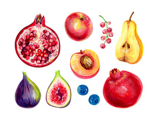 Set with fruits painted in gouache