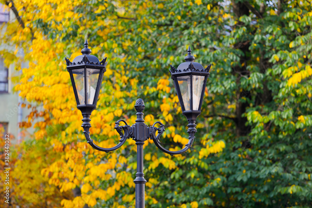 Canvas Prints beautiful street lamp on a background of autumn leaves.