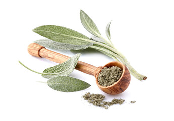 Sage leaves isolated on white background cutout. Close up studio shot of fresh green sage herb...