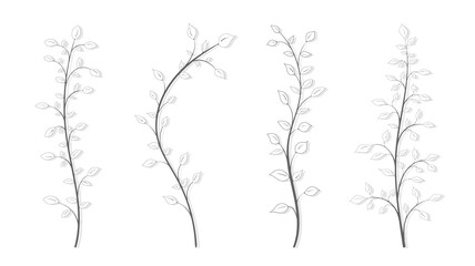 Drawing of isolated different branches with leaves in gray vintage style on a white background