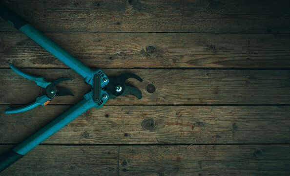 Two Blue Garden Shears Lie On A Wooden Background