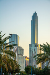 Fototapeta na wymiar The view of modern skyscrapers through the palm trees on sunset in Abu Dhabi, United Arab Emirates
