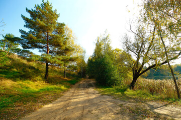 Obraz premium Dirt road in the forest on an autumn day