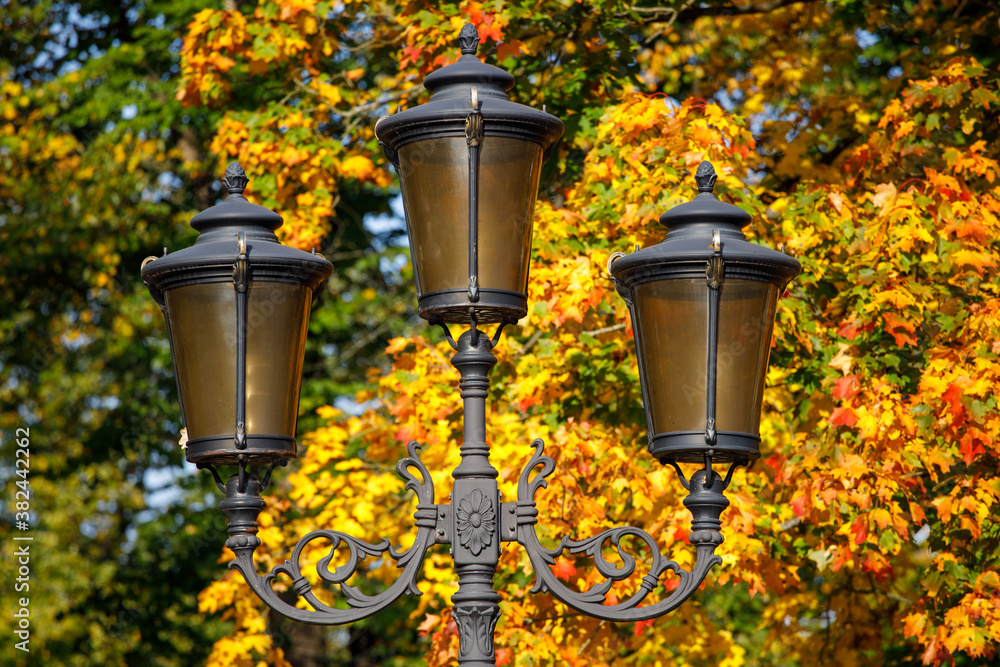 Poster beautiful street lamp on a background of autumn leaves.