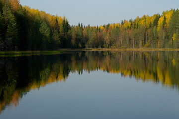 reflection of the Golden autumn in the lake