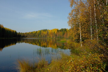 Fototapeta na wymiar reflection of the Golden autumn in the lake