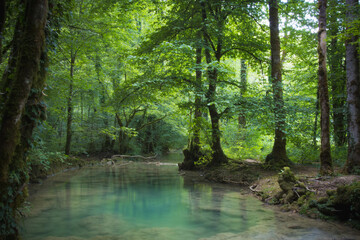 rivi&egrave;re du Jura de la cascade des tufs pr&egrave;s d'arbois