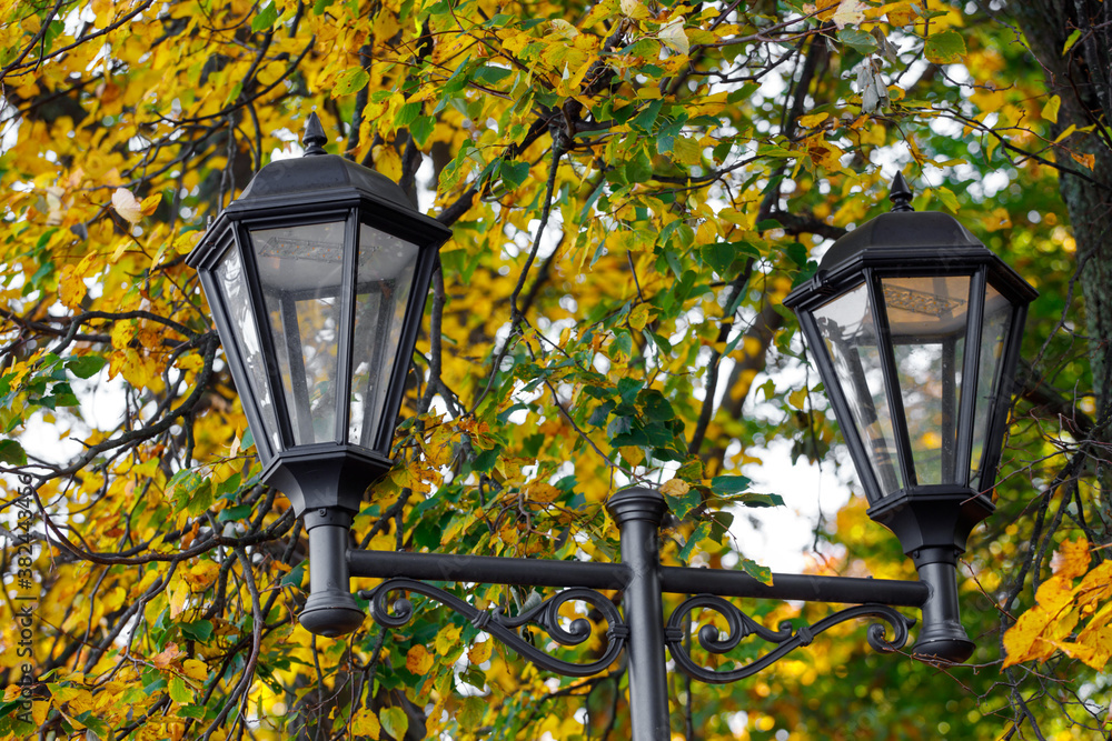 Canvas Prints beautiful street lamp on a background of autumn leaves.