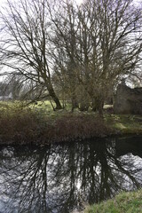 Dull day at Irish Canal