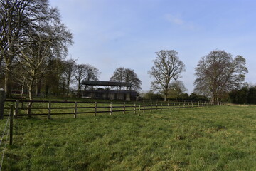 Fototapeta premium Dull Filed in Ireland