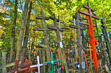 Fototapeta premium Krzyże wotywne na świętej górze Grabarka, Polska