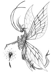 fairy creature pixie insect butterfly creature with dandelion