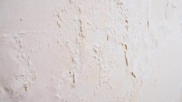 damp and mildew on the walls, moldy walls, wall paint flaking,